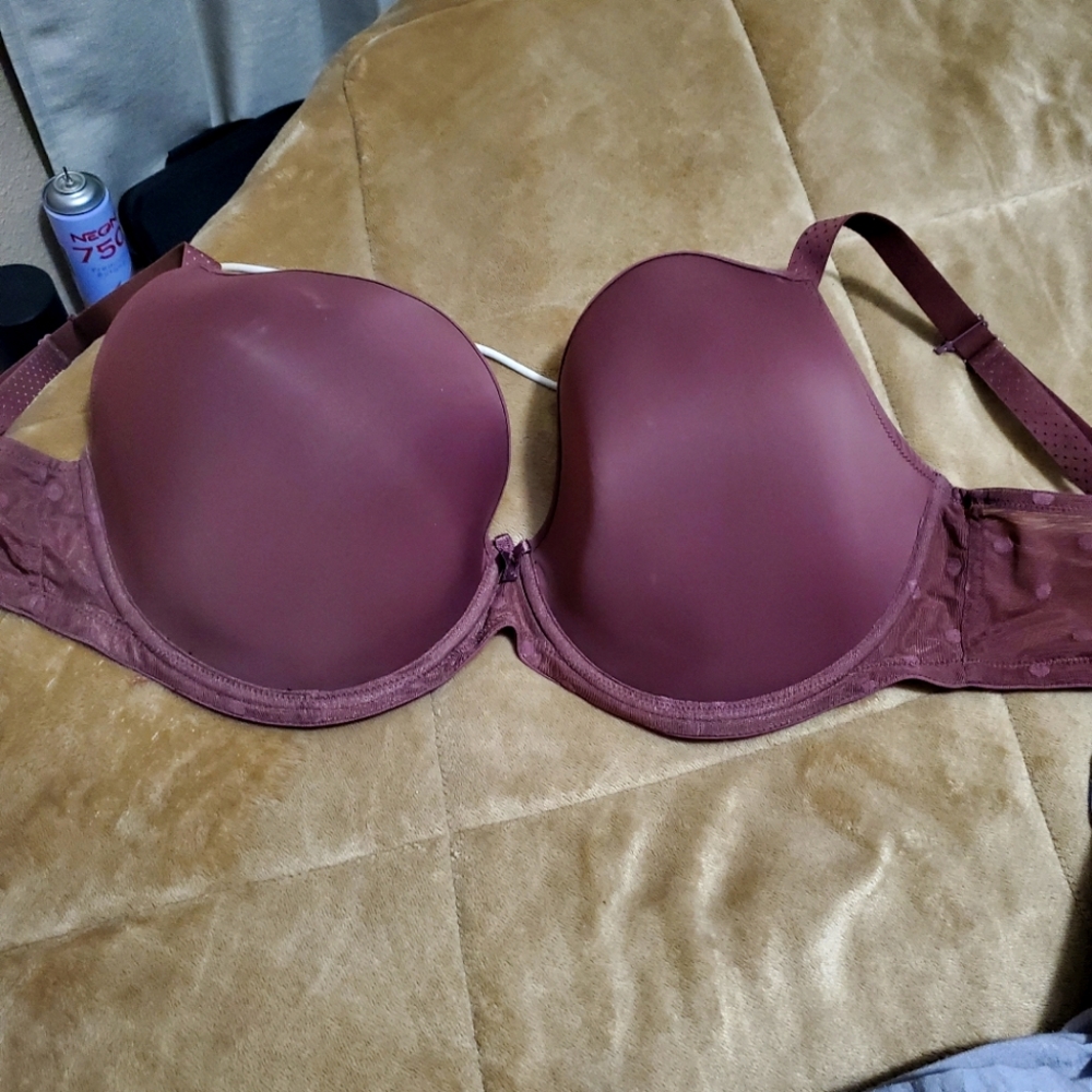 Cleo panache bra 36 H